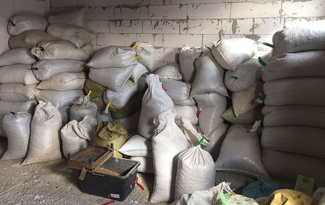 СБУ изъяла более 3 тонн янтаря в Житомирской области